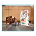 thumbnail image 4 of Alimento seco para perro Purina Beneful Adulto Minis Salmón 2kg, 4 of 6