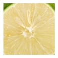 thumbnail image 3 of Lima Por Kilo, 3 of 9