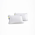 thumbnail image 1 of Almohada NUBE DR JOOHN Memory Foam Viscoelástica Tela de bambú 66 x 46 cm (2) Piezas, 1 of 9
