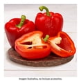 thumbnail image 2 of Pimiento Rojo por Kilo, 2 of 5