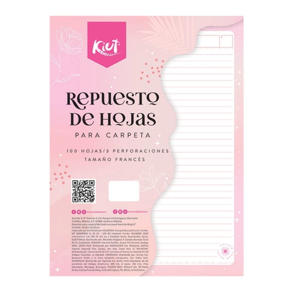 Hojas Repuesto Carpeta Frances Kiut 100 hojas