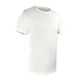 thumbnail image 3 of Playera Fruit of the Loom para Niño, Algodón Sustentable, Blanco, 3 Piezas, Talla CH, 3 of 4