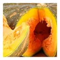 thumbnail image 2 of Calabaza de castilla por kilo, 2 of 5