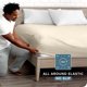 thumbnail image 3 of Bare Home Sábana Ajustable de Lujo Colección 1800, Ultra Suave, Bolsillo Profundo, Tamaño Queen, Color Arena, 3 of 7