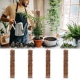 thumbnail image 4 of MTBLYS Poste de plástico para musgo de 60 cm | 4 soportes para plantas trepadoras | Agarre aéreo semicilíndrico | Palo para musgo Monstera de interior | Estaca para plantas en maceta, 4 of 6