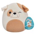 thumbnail image 2 of Peluche Squishmallows SQCR05715, 7.5 Pulgadas Varios Modelos 1 Pieza, 2 of 4