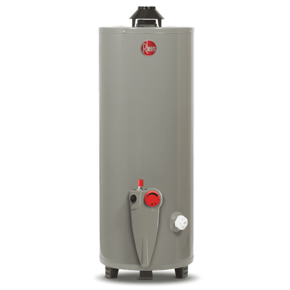 Calentador de Agua de Depósito Rheem 76 Litros a Gas Natural 2 Servicios gris