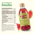 thumbnail image 2 of Bebida Kombucha con probióticos sandía fresca 377 ml, 2 of 4