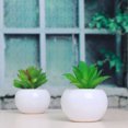 thumbnail image 1 of FOMIYES 3Ud Plantas De Simulación Suculentas Para De Interior Y Regalo, 1 of 8