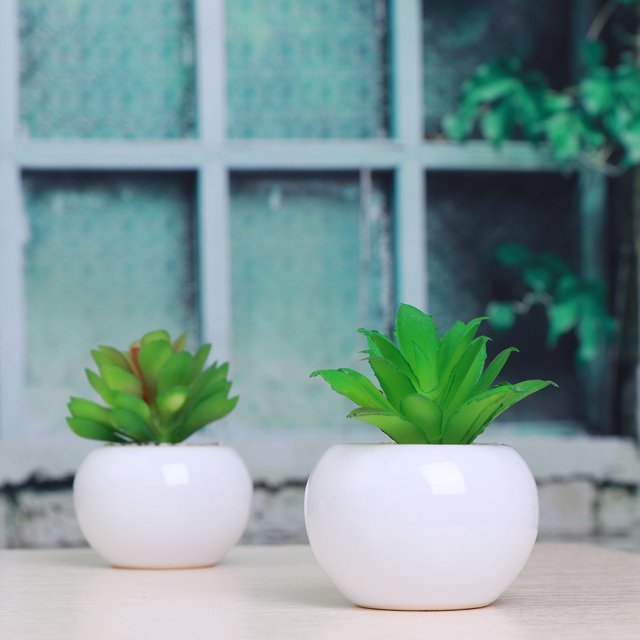 FOMIYES 3Ud Plantas De Simulación Suculentas Para De Interior Y Regalo