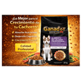 thumbnail image 2 of Croquetas Para Perro Ganador Premium Cachorro Razas Grandes 20 Kg, 2 of 8