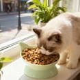 thumbnail image 4 of Cats Food Bowl Large Capacity Pet Food Bowl Cute Drinking Bowl For Cats To Protects The Neck, 4 of 6