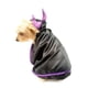 thumbnail image 2 of Disfraz Malefican para Perro Pet Pals Talla 6, 2 of 4