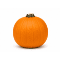 thumbnail image 2 of Calabaza Pay, 2 of 8