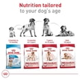 thumbnail image 4 of Croquetas para Perro Royal Canin Adulto Razas Medianas 13.6 Kg, 4 of 4