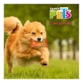 thumbnail image 3 of Juguete para Perro Fancy Pets de Tela Doggie Scrunch Queso, 3 of 4