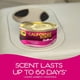 thumbnail image 4 of 4 Aromatizantes Cherry CS + Toallas Protectoras ArmorAll, 4 of 5