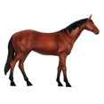 thumbnail image 3 of Modelo 4D de anatomía animal: juguete educativo de inteligencia para montar sobre caballos., 3 of 5