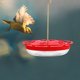 thumbnail image 1 of unbranded Outdoor Hummingbird Feeder Plástico Con Puerto De Alimentación En Y De Ardillas, 1 of 8
