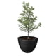 thumbnail image 1 of Atmos Homeware Macetas Decorativas para Interior y Exterior |  1 Maceta Grande de Plástico con Capacidad para 45 Litros | Modelo Kun color Negro 1 Piezas., 1 of 6