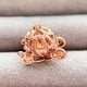 thumbnail image 2 of CARRUAJE DE PRINCESA ROSE GOLD, 2 of 2