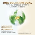 thumbnail image 3 of Shampoo Equilibrante Pantene Pro-V Miracles Equilibrio Raíz y Puntas 300 ml, 3 of 5