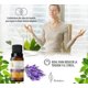 thumbnail image 2 of Aceite Esencial de Lavanda Herbolare 5 mL, 2 of 3