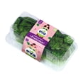 thumbnail image 1 of Lechuga Mini Francesa Eva Hidropónica 2 Piezas, 1 of 6