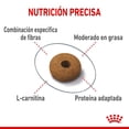 thumbnail image 3 of Alimento para gato Royal Canin Spayed Neutered Appetite Control 2.7Kg Royal Canin Spayed Neutered Appetite Control, 3 of 7