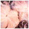 thumbnail image 4 of Pulpo cocido Calidad gourmet 500 g congelado, 4 of 6