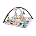 thumbnail image 1 of Gimnasio de Actividades Fisher Price Newborn Musical 3 en 1, 1 of 4