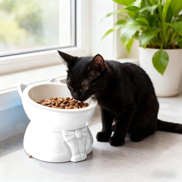 Cats Food Bowl Large Capacity Pet Food Bowl Cute Drinking Bowl For Cats To Protects The