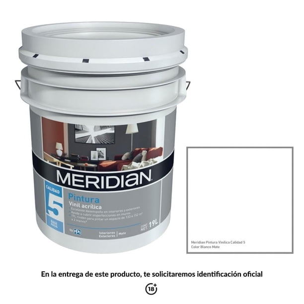 Pintura Meridian Plus 5 Años Blanco Mate 19 Litros