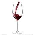 thumbnail image 4 of Vino Tinto Vega Sicilia Macan Clásico Roble Tempranillo 2019 750 ml, 4 of 4