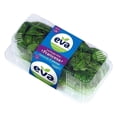 thumbnail image 2 of Lechuga Mini Francesa Eva Hidropónica 2 Piezas, 2 of 6