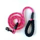 thumbnail image 3 of Correa para Perro Pet Care 4f 1.5 m Varios Colores 1 Pza, 3 of 4