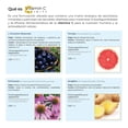 thumbnail image 4 of Vitamina C + L-Glutatión Eternal Nutrition 200 Cápsulas 770 mg, 4 of 10