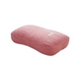 thumbnail image 3 of Lekihaqq Buckwheat Pillows For Neck Pain Relief Quilted Cottons Buckwheat Hull Filled Ergonomic Support Adjustable Height Pillow For Sleeping Breathable Home Bedroom, 3 of 7