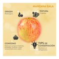 thumbnail image 4 of Manzana Gala Por Kilo, 4 of 5