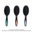 thumbnail image 1 of Cepillo Prichos Ovalado de Plástico Varios Modelos 1 Pieza, 1 of 4