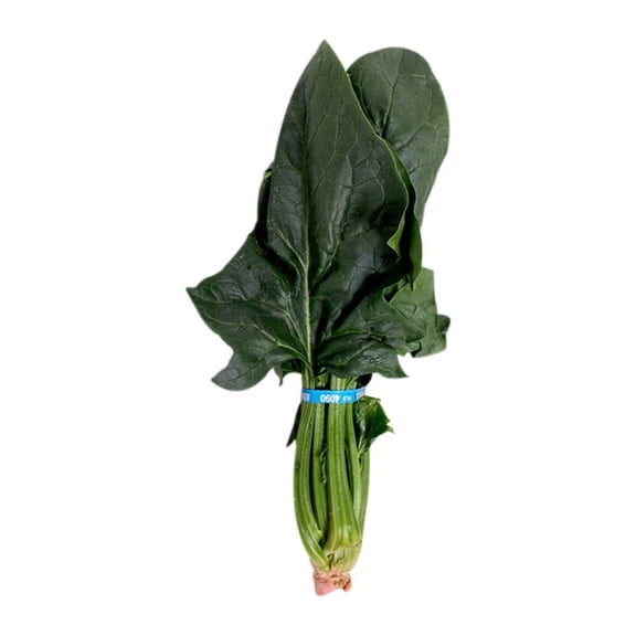 Espinaca Fresca Por Pieza De