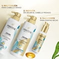 thumbnail image 5 of Acondicionador Pantene Pro-V Miracles Equilibrio Raíz y Puntas Hidratante 510 ml, 5 of 5