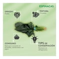 thumbnail image 5 of Espinaca Fresca Por Pieza De, 5 of 5