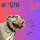 thumbnail image 2 of Placa DE Identificación Inteligente TQR BY FAKIRGEEK para Mascotas QR Perro Gato Bulldog Ingles Rosa Blanco, 2 of 9