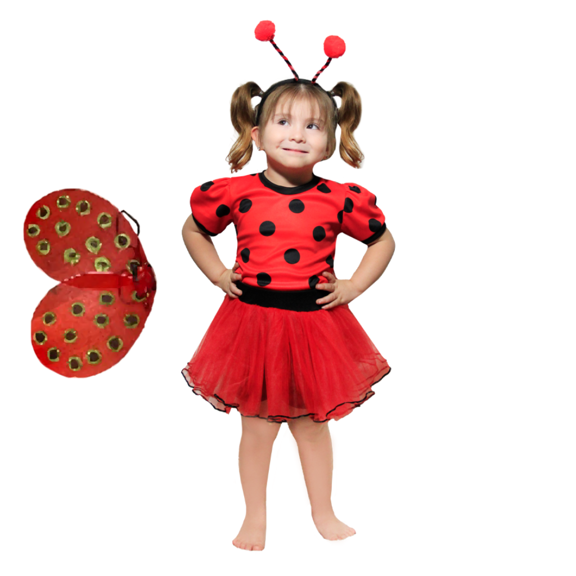 Disfraz Primavera Catarina Roja Tutu Con Alas Infantil Niña Talla 12 a 14 años