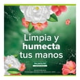 thumbnail image 4 of Jabón Líquido para Manos Palmolive Flor de Manzana rellena-pack 800 ml, 4 of 4