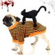 thumbnail image 1 of Disfraz de Halloween para perros, disfraz de Halloween para mascotas, disfraz de Halloween para gatos y perros, vestido de fiesta de Halloween para perros, disfraz de Halloween para mascotas, disfraz, 1 of 5