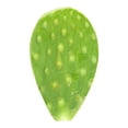 thumbnail image 3 of Nopal Cambray Por Kilo, 3 of 6