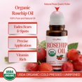 thumbnail image 2 of Aceite de Rosa Mosqueta BodyJ4You Roll On 50ml Orgánico USDA, 2 of 8