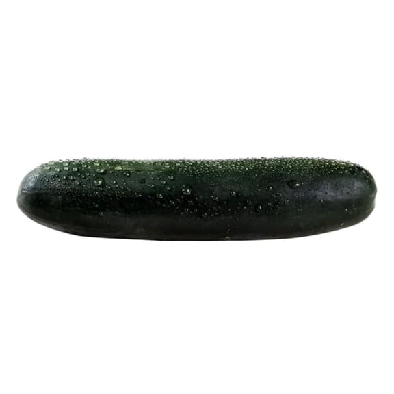 Pepino por kilo